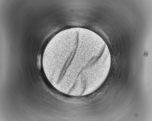 X0000098180020200805221548