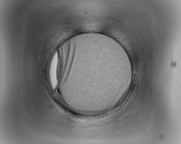 X0000098180021200805221548