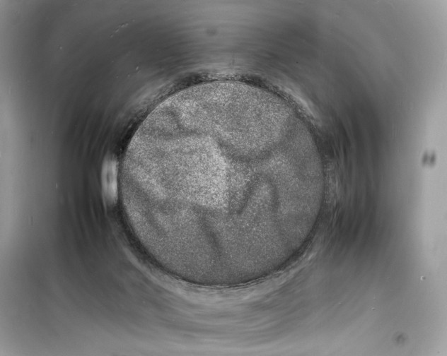 X0000098180022200805221548