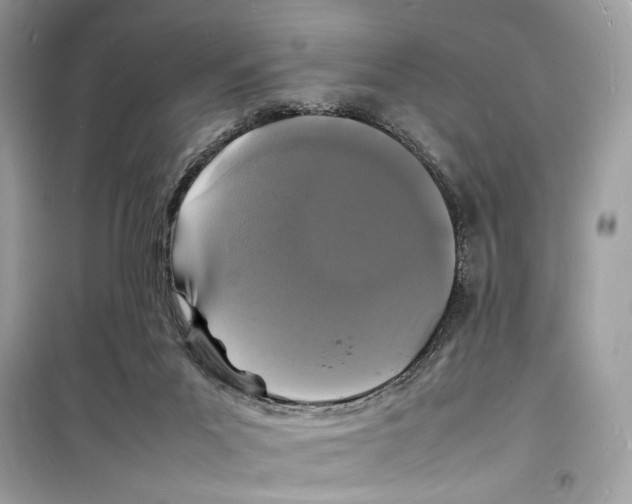 X0000098180023200805221548