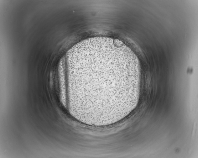 X0000098180026200805221548