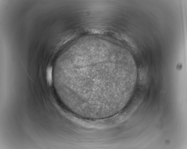 X0000098180028200805221548