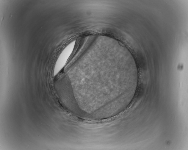 X0000098180029200805221548