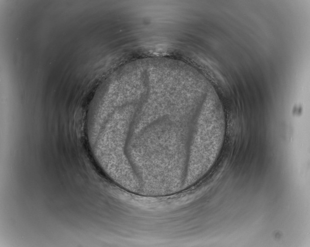 X0000098180030200805221548