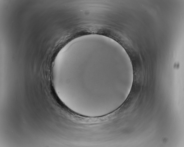 X0000098180031200805221547