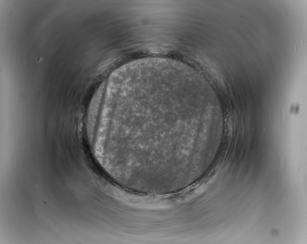 X0000098180032200805221547