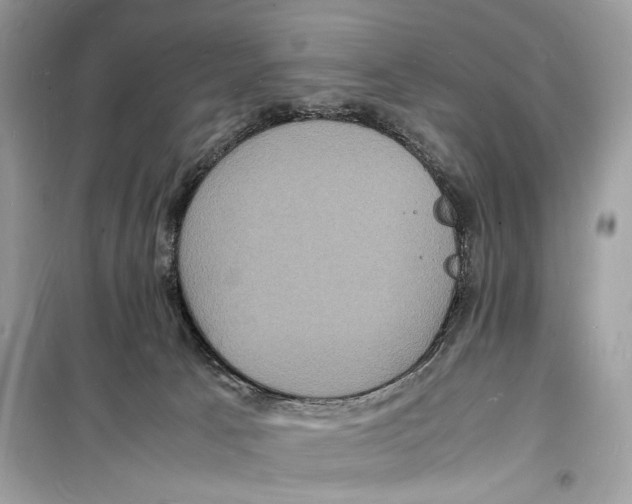 X0000098180033200805221547