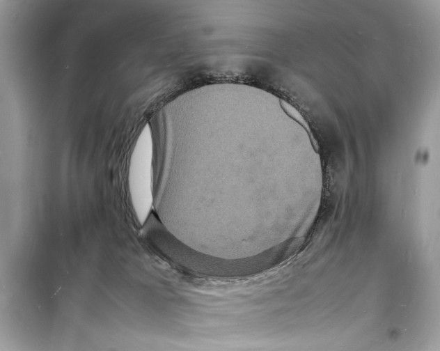 X0000098180037200805221547