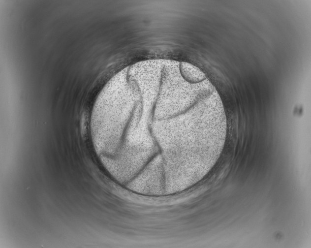 X0000098180038200805221547