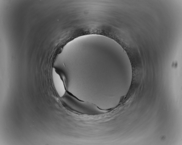 X0000098180039200805221547