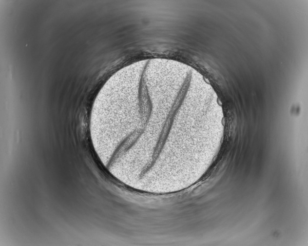 X0000098180040200805221547