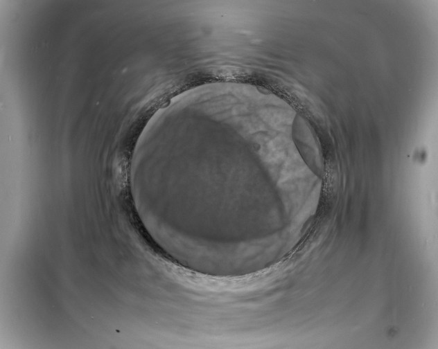 X0000098180043200805221547