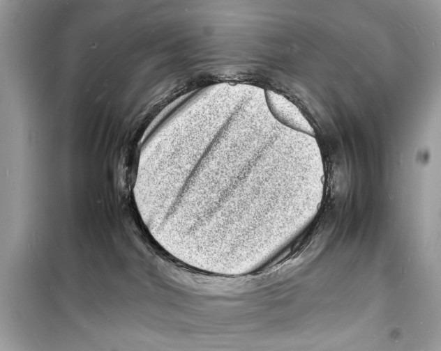 X0000098180044200805221547