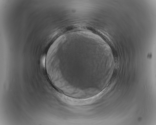 X0000098180047200805221547