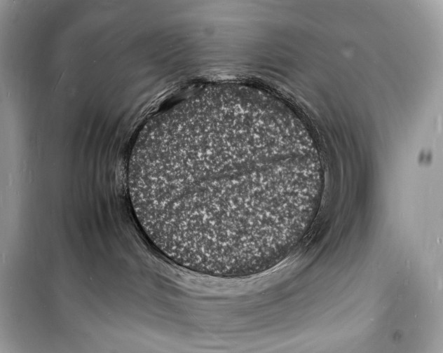 X0000098180048200805221547