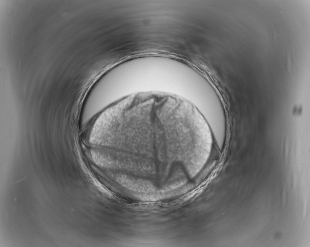 X0000098180049200805221546