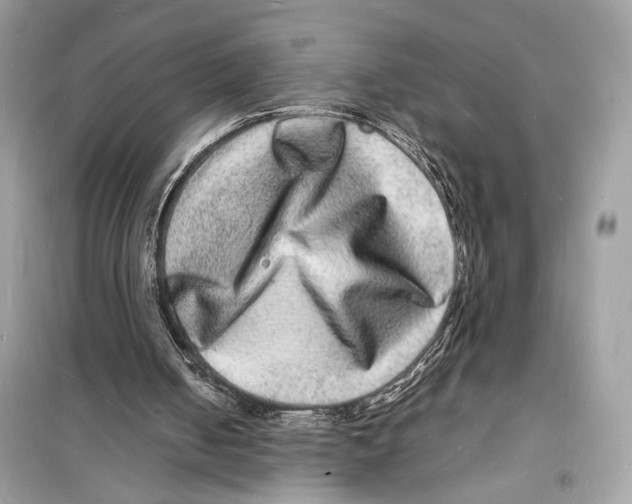 X0000098180050200805221546