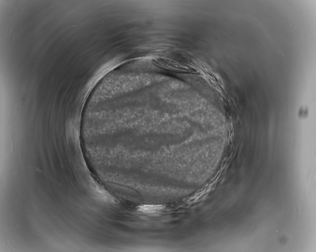 X0000098180051200805221546