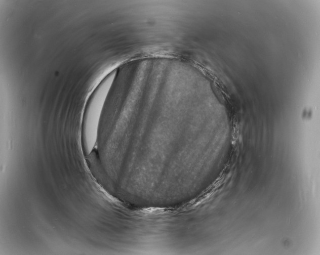 X0000098180052200805221546