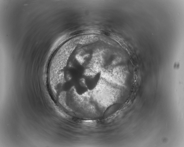 X0000098180053200805221546