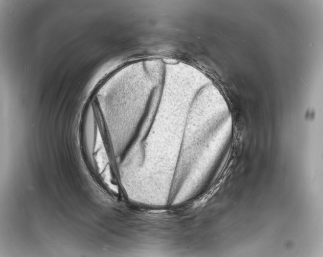 X0000098180054200805221546