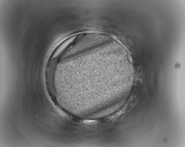 X0000098180055200805221546