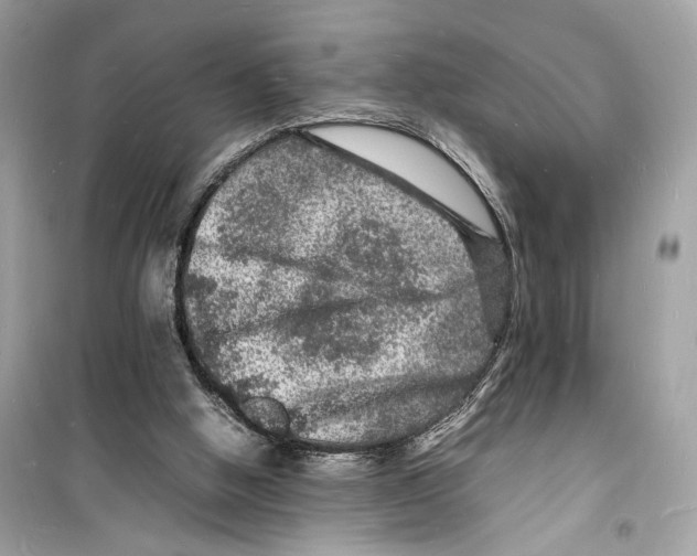 X0000098180058200805221546