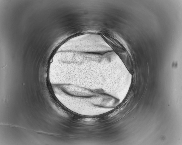 X0000098180059200805221546