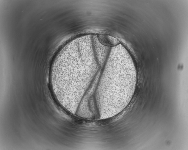 X0000098180062200805221546