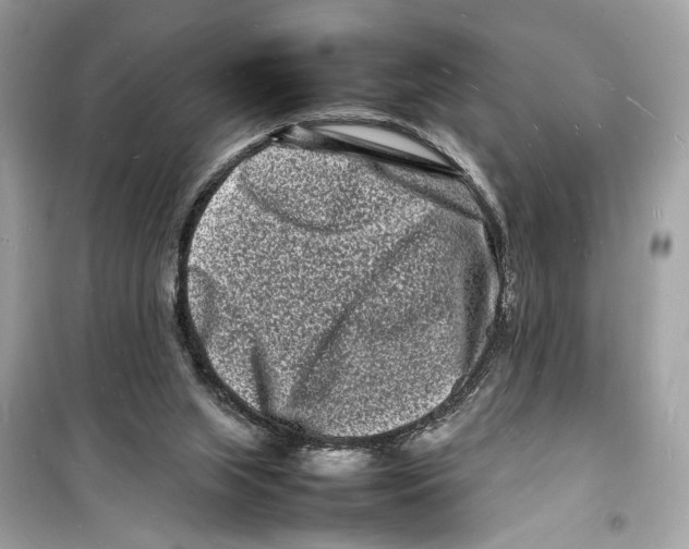 X0000098180063200805221546