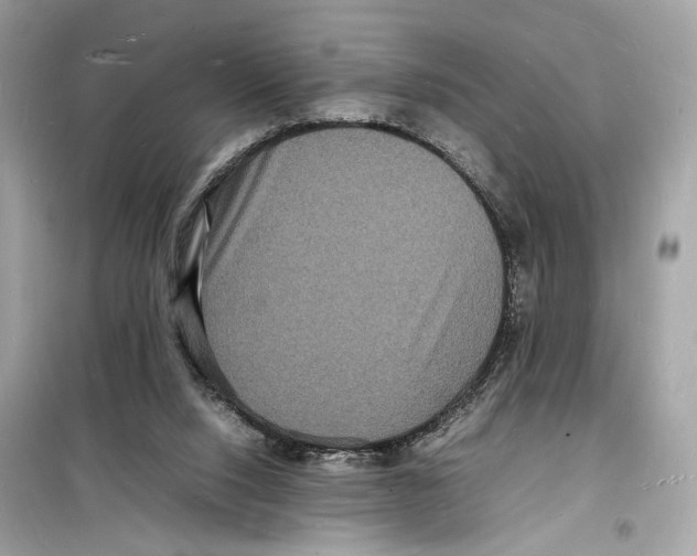 X0000098180064200805221547