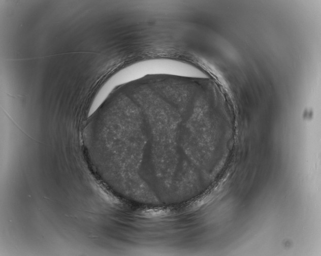 X0000098180065200805221547