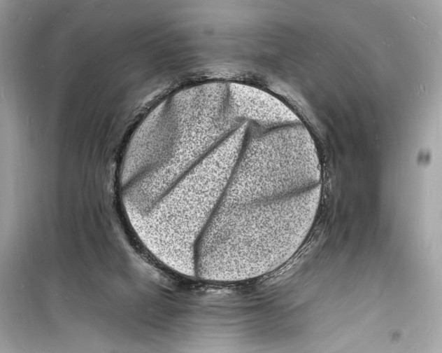 X0000098180066200805221547