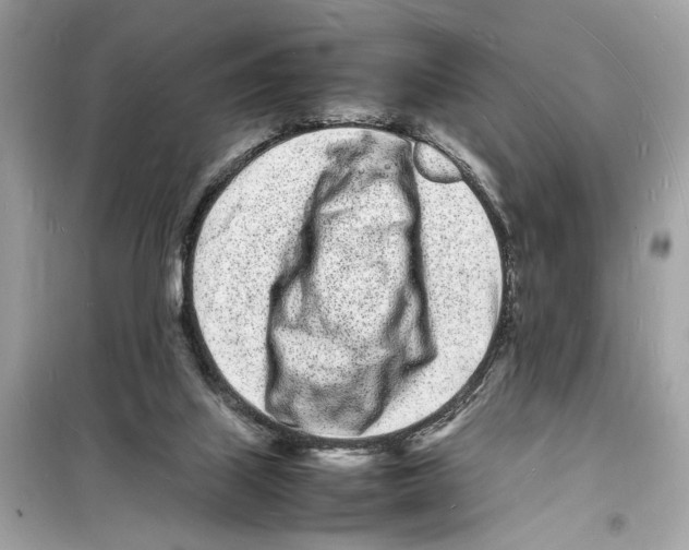 X0000098180067200805221547