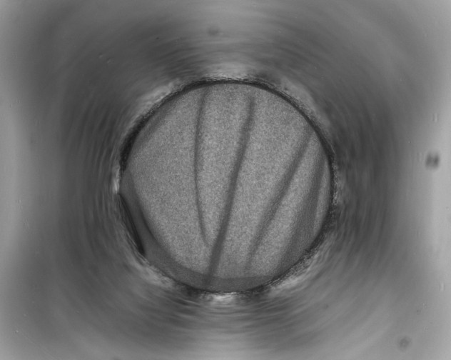 X0000098180068200805221547