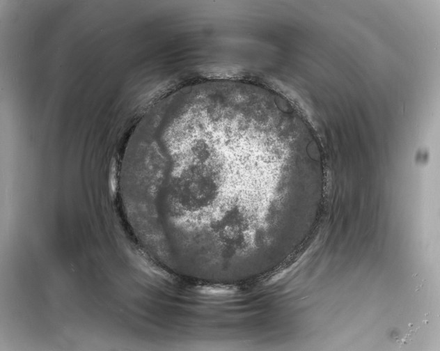 X0000098180069200805221547