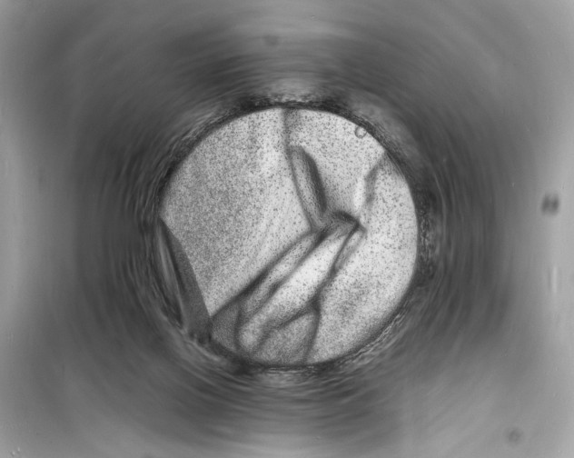 X0000098180070200805221547