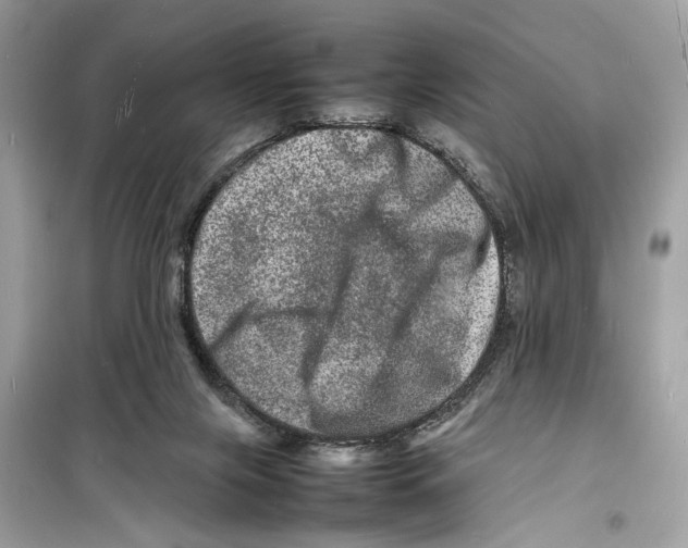 X0000098180071200805221547