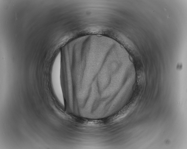 X0000098180072200805221547