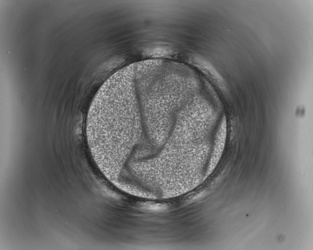 X0000098180073200805221547