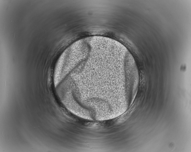 X0000098180074200805221547