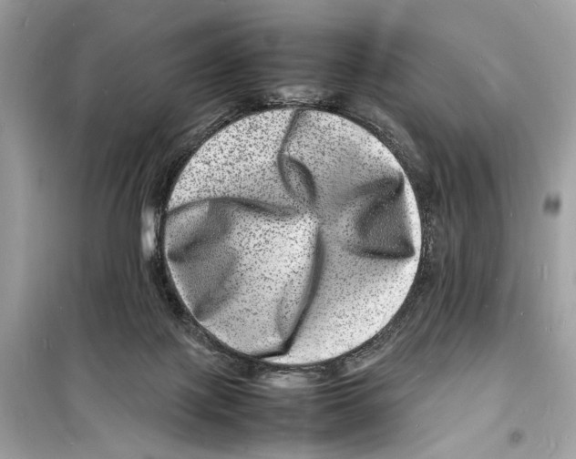 X0000098180075200805221547