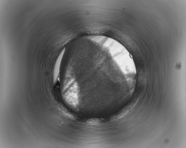 X0000098180076200805221547