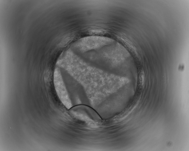 X0000098180079200805221547