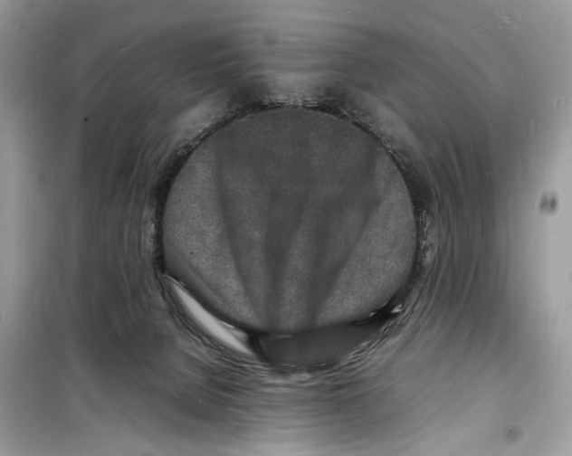 X0000098180080200805221547