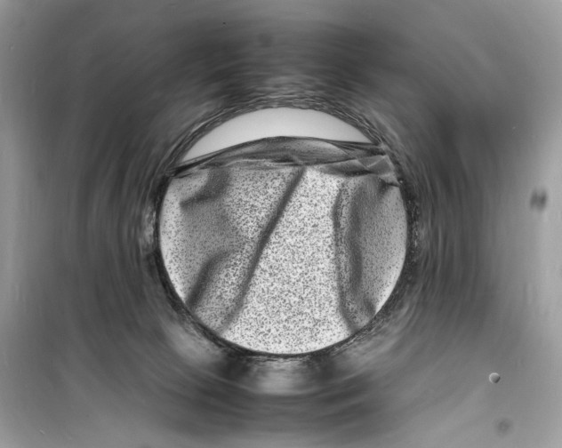 X0000098180081200805221547