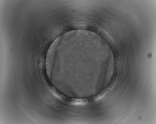 X0000098180083200805221547