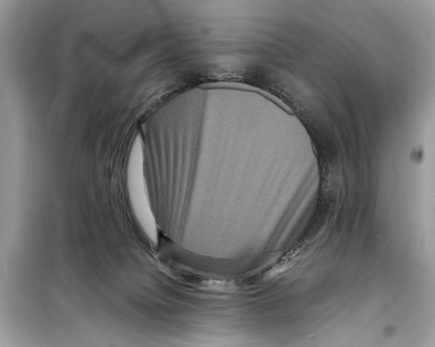 X0000098180084200805221547