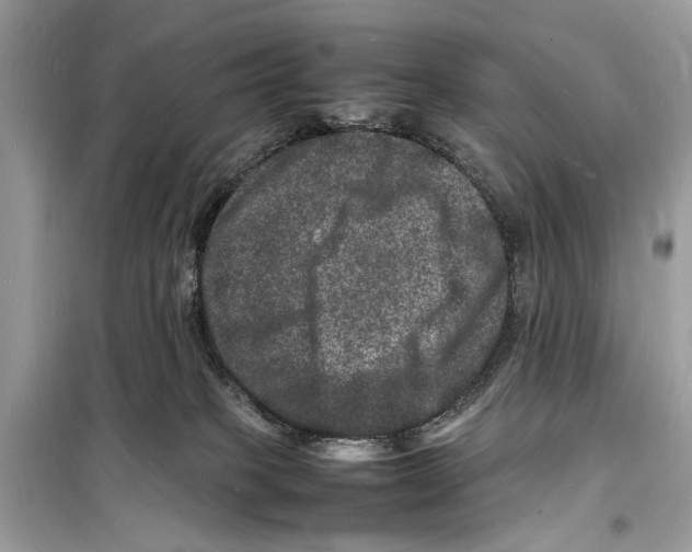 X0000098180085200805221547