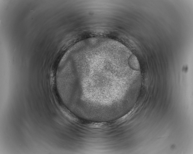 X0000098180086200805221547